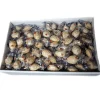 Clearance LAPASIÓN Almendras rellenas de turrón de Almendra Calidad Suprema, bolsa de 2,5 Kg