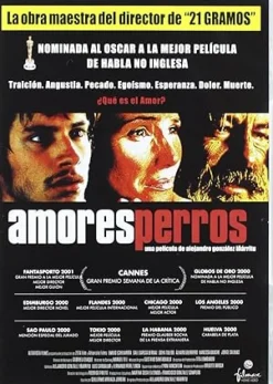 Amores Perros [DVD] [dvd]