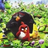 Angry Birds [DVD] [dvd] [2018]