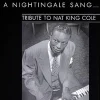 A nightingale sang… Tribute to Nat King Cole [dvd] [2014]