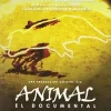 New DVDTOTAL Animal (Toros) [DVD] [dvd] [2000]