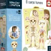 Aprender es divertido. El cuerpo humano