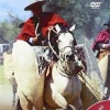 Sale DVDTOTAL Argentina. travel & living. disco-very. [dvd]