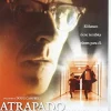 Clearance DVDTOTAL Atrapado Por El Futuro [DVD] [dvd]