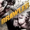Brawler [DVD] [office_product] [2016]