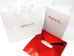 Brazalete De Plata De Ley Maestra Personalizado Con Nombres