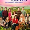 Online DVDTOTAL Brothers & Sisters - Series 1 [Reino Unido] [DVD] [dvd]