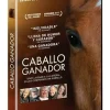 Caballo ganador (Dark Horse) [DVD] [office_product] [2016]