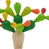 Cactus equilibrio