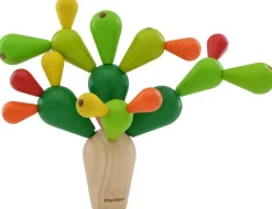 Cactus equilibrio