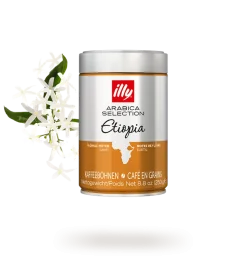 Café en grano Arabica Selection Etiopia 250 g