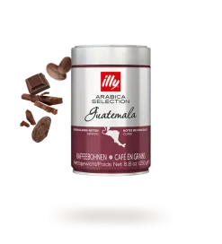 Café en Grano - Arabica Selection - Guatemala 250 g