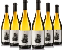 New 13 viñas Caja 6 unidades Babú