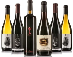 Sale 13 viñas Caja 6 unidades, 2 Babu,2 Mingus ,1 Alto de San Esteban,1 Ponte vella