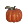 Calabaza Halloween Decoración
