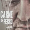 Carne de perro [DVD] [dvd] [2013]
