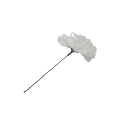 Clavel Blanco