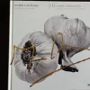 Cocina con Firma. Tomo 06. Santi Santamaría [hardcover] unknown [Jan 01, 2004]