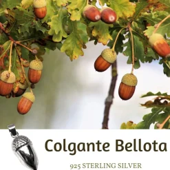 Colgante Bellota De Plata De Ley 20Mm