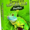 Asmodee Desafíos Naturaleza. Reptiles