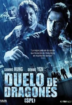 Duelo De Dragones [DVD] [dvd] [2014]