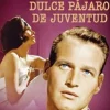 New DVDTOTAL Dulce pájaro de juventud [DVD] [dvd] [2017]