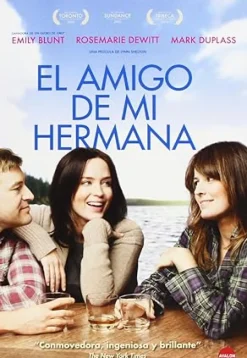 El amigo de mi hermana [DVD] [dvd] [2016]