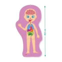 El cuerpo humano: ¿Cómo soy? (Akros)