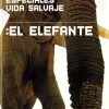 Sale DVDTOTAL Especiales Vida Salvaje: El Elefante