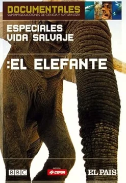 Sale DVDTOTAL Especiales Vida Salvaje: El Elefante