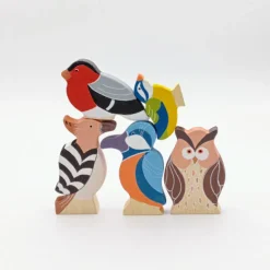 Familia de 5 pájaros de colores