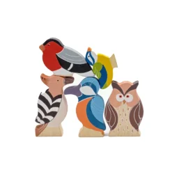 Familia de 5 pájaros de colores