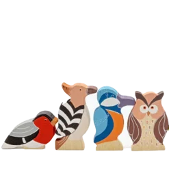 Familia de 5 pájaros de colores