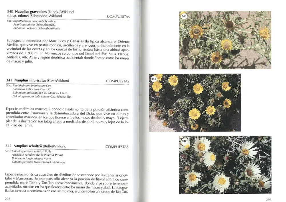 Online Jolube Editorial y Librería Flora selecta marroquí