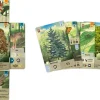 Outlet Asmodee Forest Shuffle