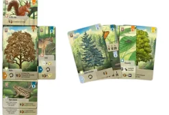 Outlet Asmodee Forest Shuffle