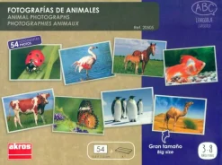 Hot Akros Fotografías de Animales 54 fotos