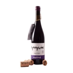 Garagewine Brujidera