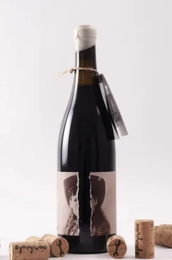 Garagewine La Forastera Shiraz