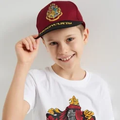 Gorra Premium Harry Potter Hogwarts Visera Plana