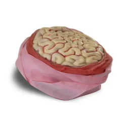 Discount Partilandia Gorro Sesos con Vendaje
