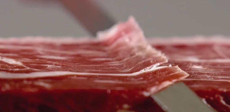 Jamón de cebo de campo ibérico Añojal