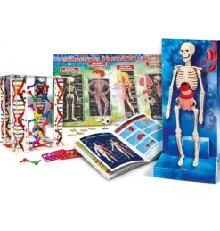Online Clementoni Juego Educativo el Cuerpo Humano Ciencia y Juego