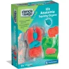New Clementoni Juego Educativo Kit de Anatomía Squishy Infantil -