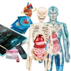 Online Clementoni Juego Educativo Super Anatomía