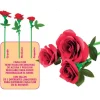 Kit de Arte Floral Ramo de Rosas rojas