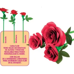 Kit de Arte Floral Ramo de Rosas rojas