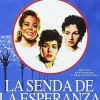 Best DVDTOTAL La senda de la esperanza [DVD] [dvd] [2016]