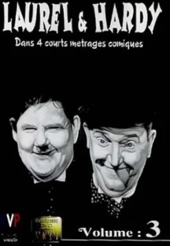 New DVDTOTAL Laurel & Hardy - Vol. 3 [Reino Unido] [DVD] [dvd]