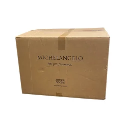 Libro Michelangelo: Dibujos